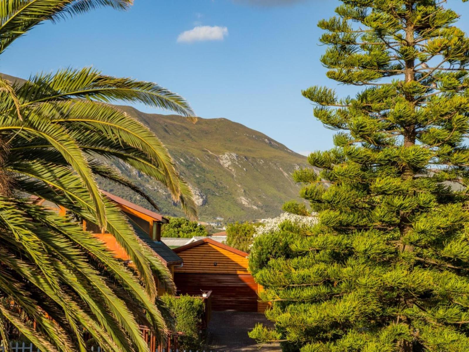 Two Palm House - Vermont Hermanus Chambre photo