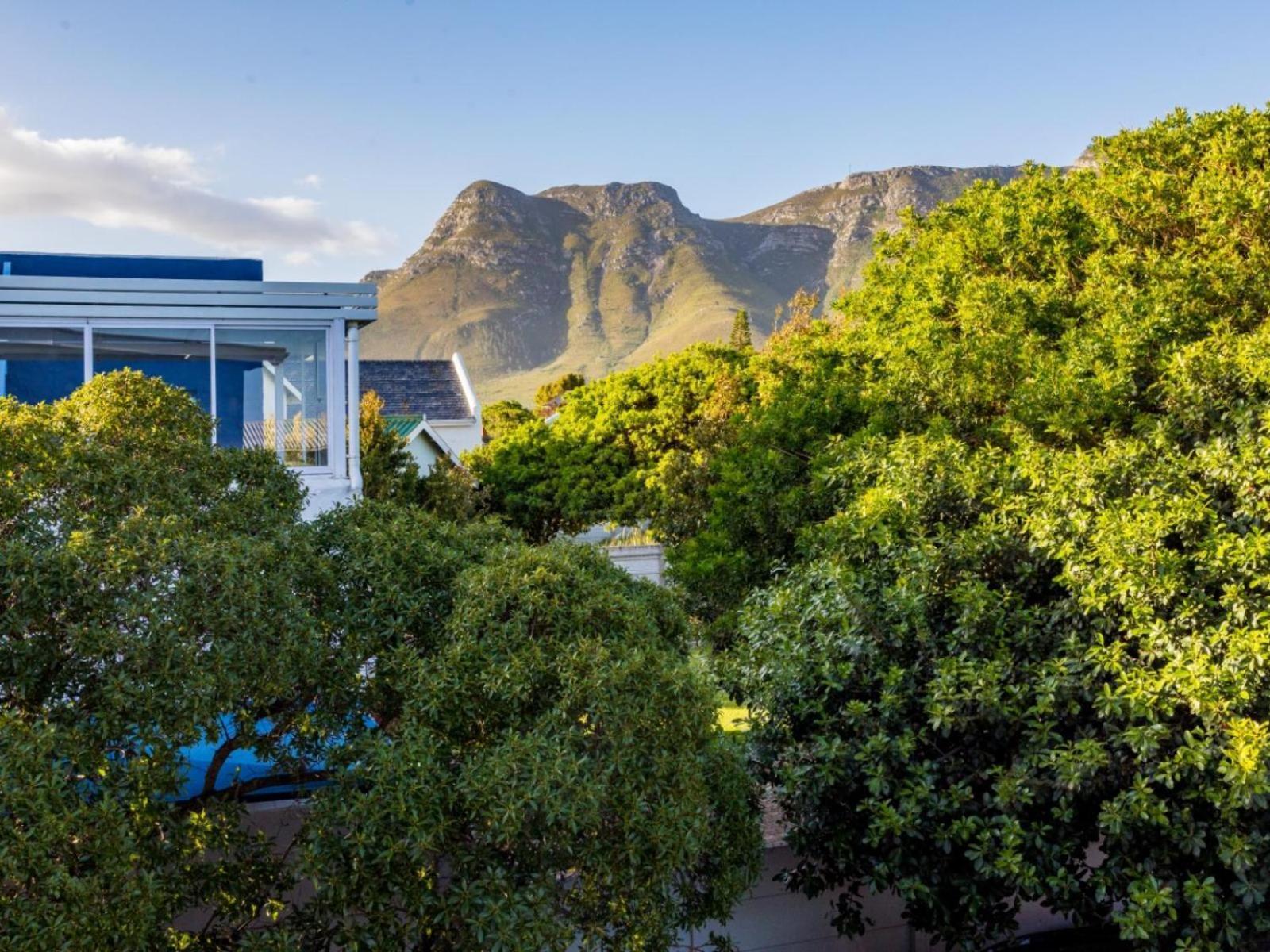 Two Palm House - Vermont Hermanus Chambre photo