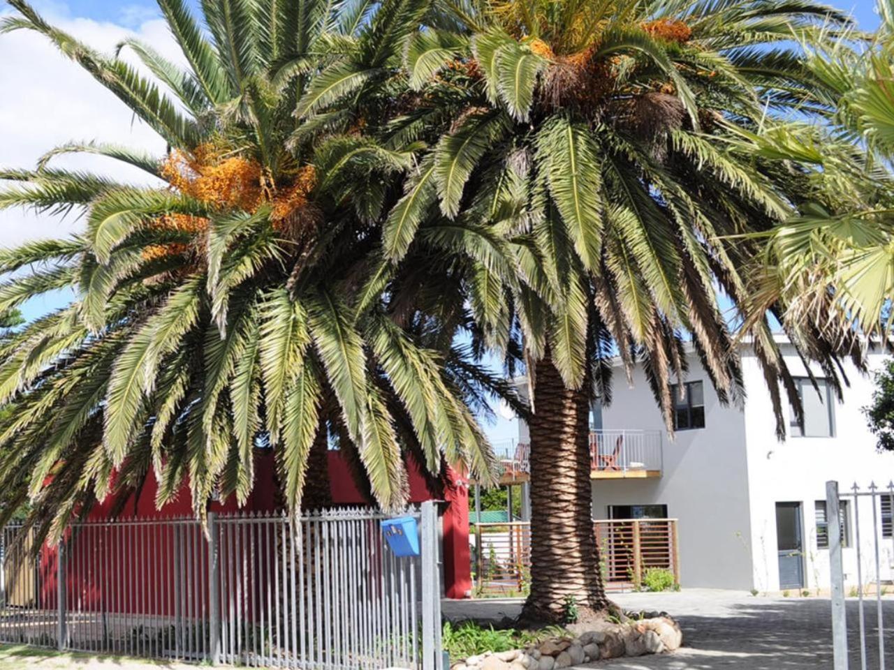 Two Palm House - Vermont Hermanus Extérieur photo
